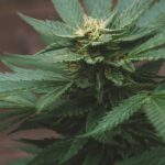 Выбор ЛСД телевизора и его основные характеристики img-2119.jpg